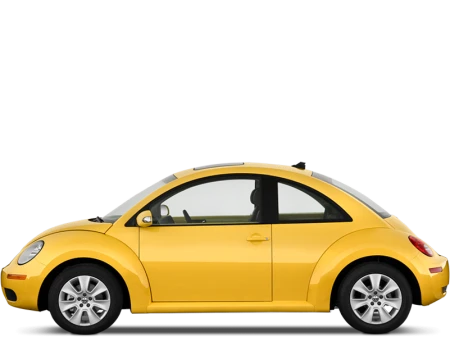 Beetle Image