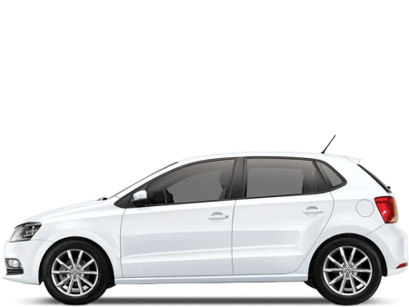 Polo Image