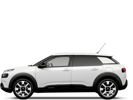 C4 Cactus Image