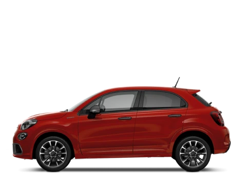 500X Image
