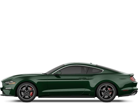 Mustang Image