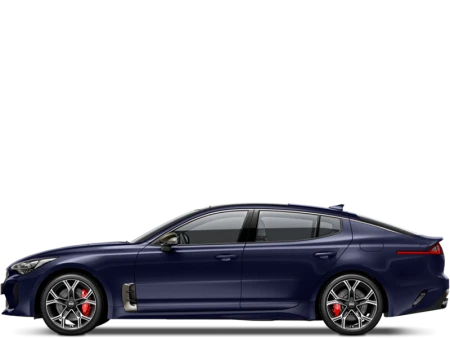 Stinger Image