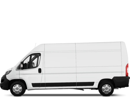 Boxer Image