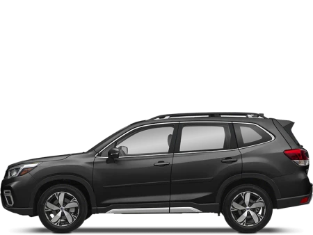 Forester Image