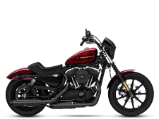 Harley Davidson 1200 XL / XR