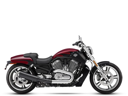 1250 Night Rod / V-Rod /  Sportster Image
