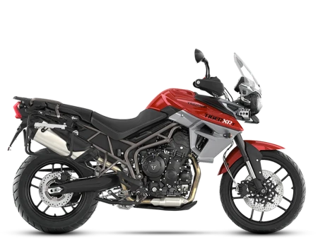 Tiger 800 Image