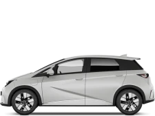 BYD Dolphin Surf