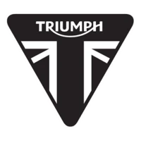 Triumph America