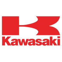 Kawasaki Brute Force